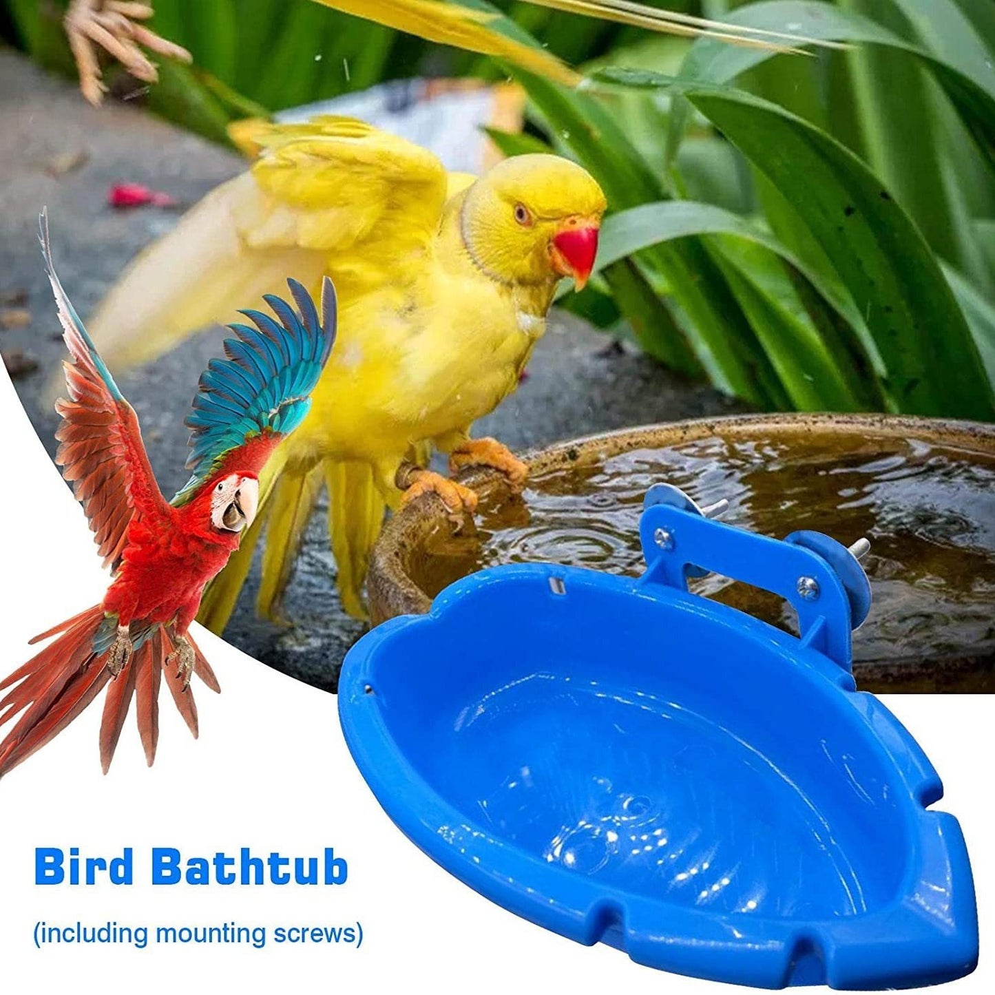 Multifunctional Bird feeder and Bathtub