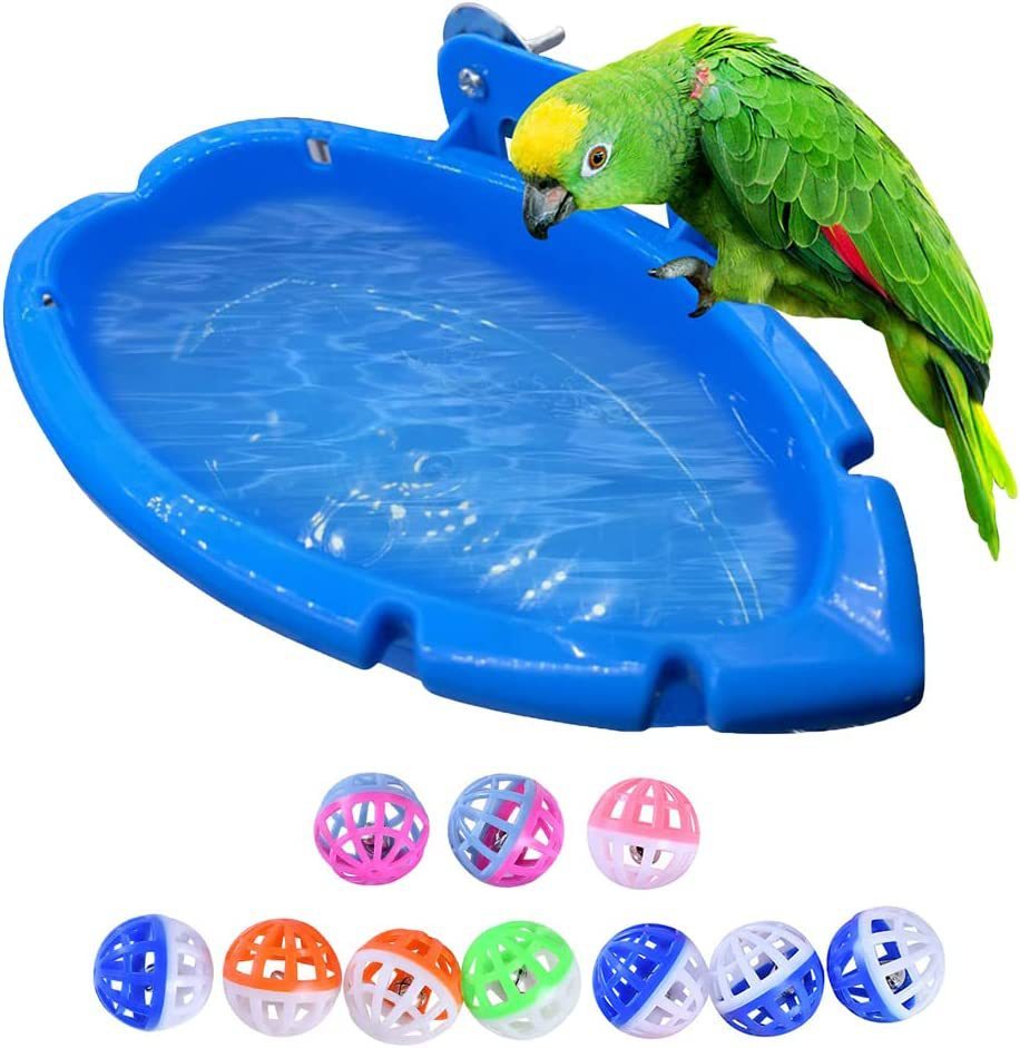 Multifunctional Bird feeder and Bathtub