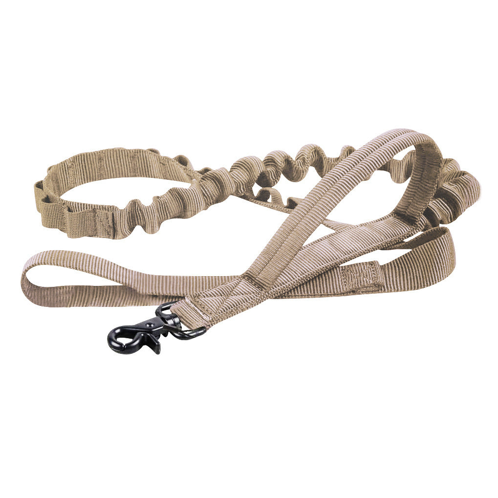 Dog Collar And Leash Set, Adjustable Dog Collar, Dog collar