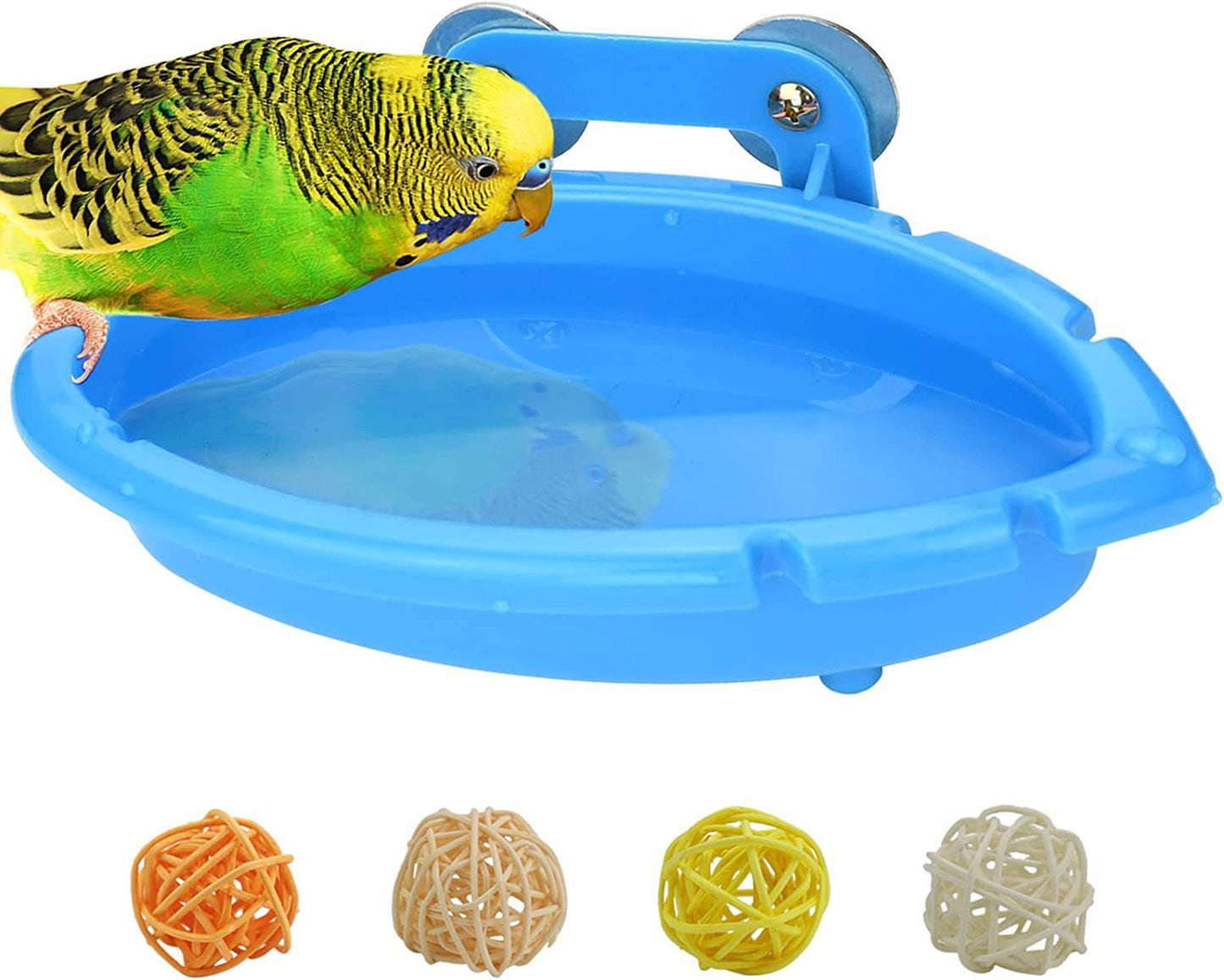 Multifunctional Bird feeder and Bathtub
