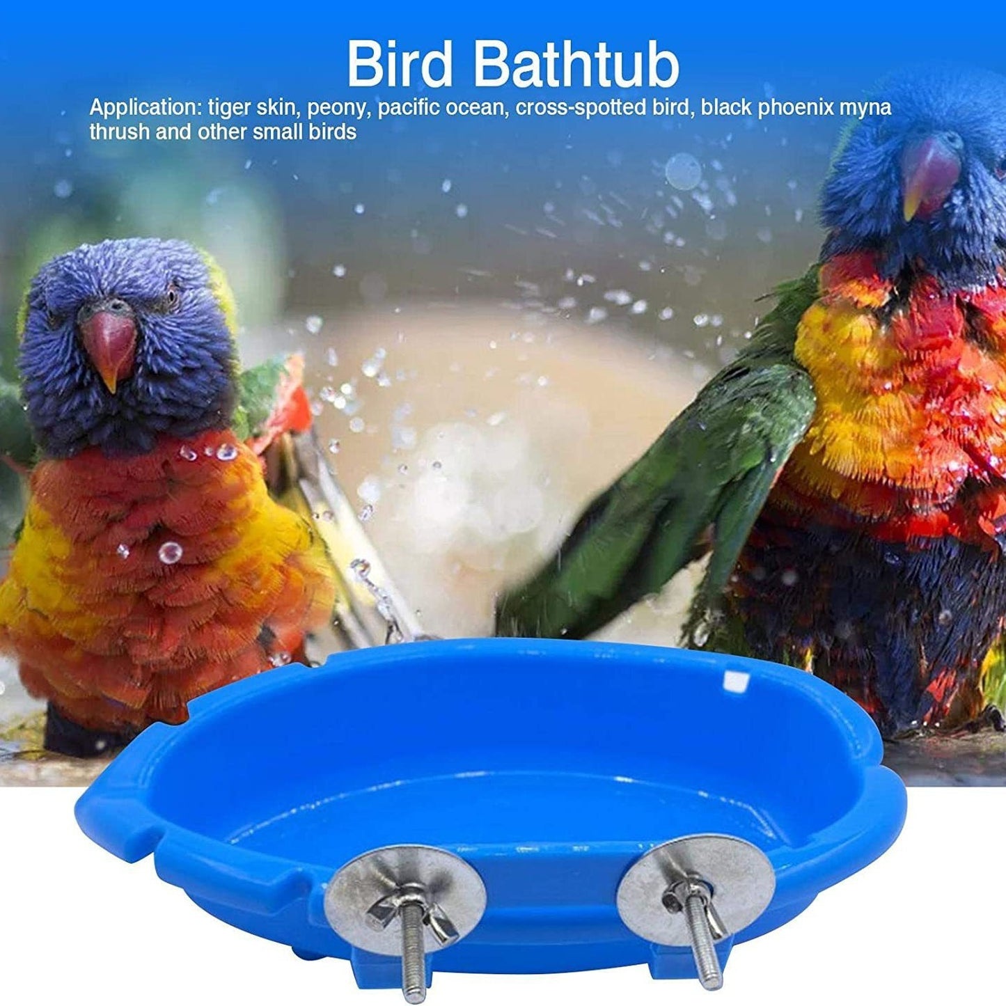 Multifunctional Bird feeder and Bathtub