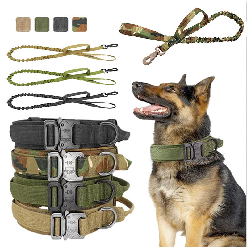 Dog wearing a green collar with leashes and belts displayed above.
