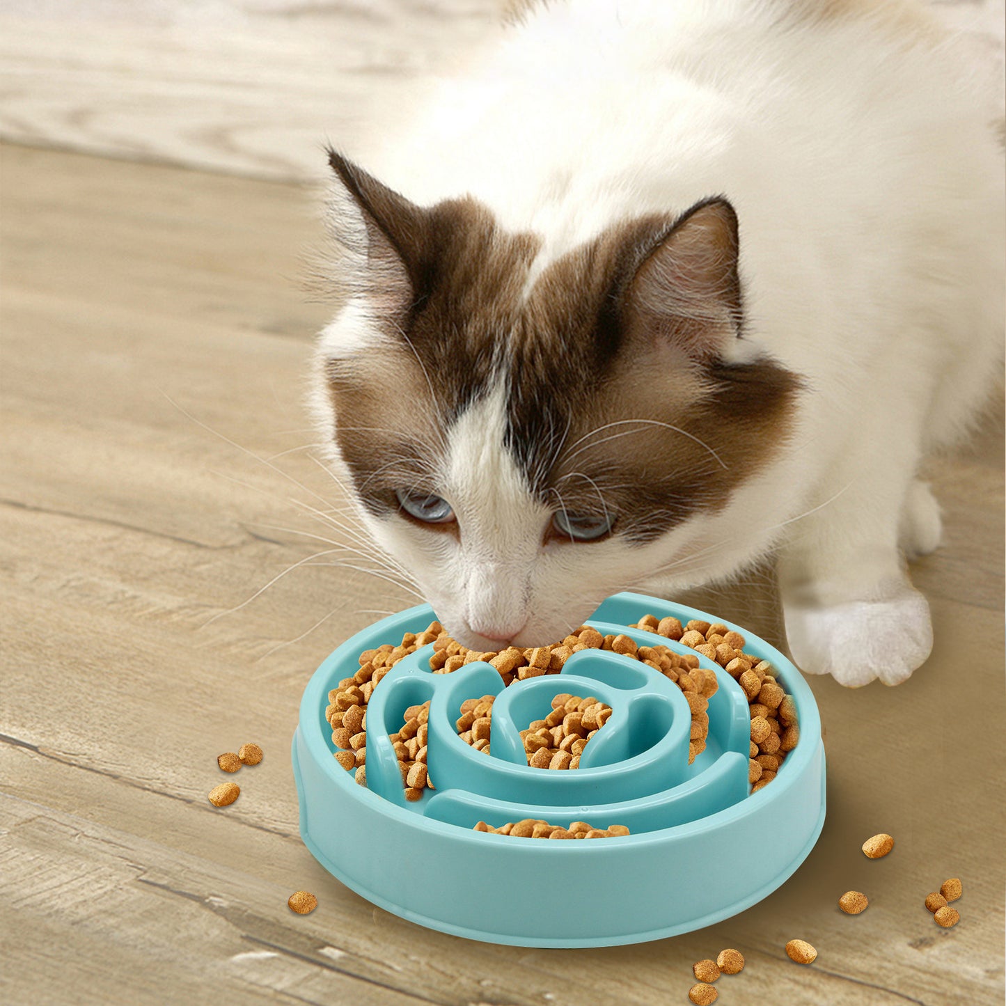 Slow Feeder Dog Bowl, Dog Feeder Bowl, For Healthy Eating Puppy Slow Feeder Bowl