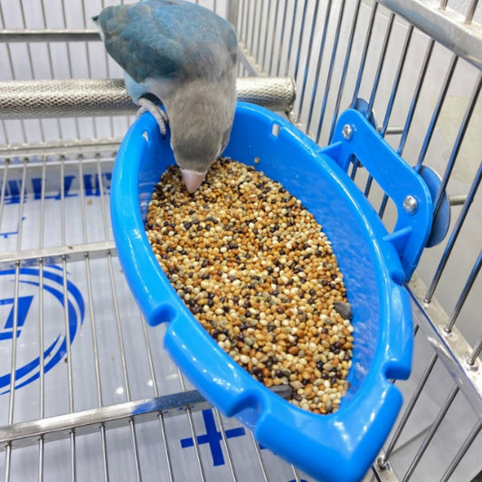 Blue bird feeder with birdseed.