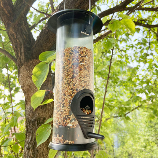 Bird feeder filled with seeds hanging from a tree.