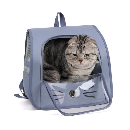 Cat in a transparent pet carrier with a gray exterior on a white background.