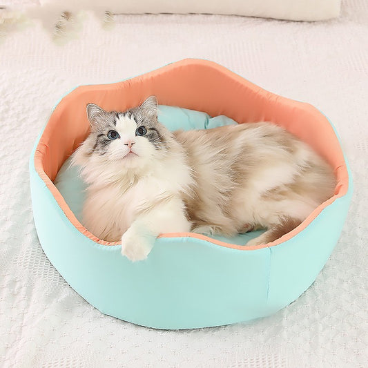 Cat lying on a hexagonal pet bed with peach top and light blue bottom.